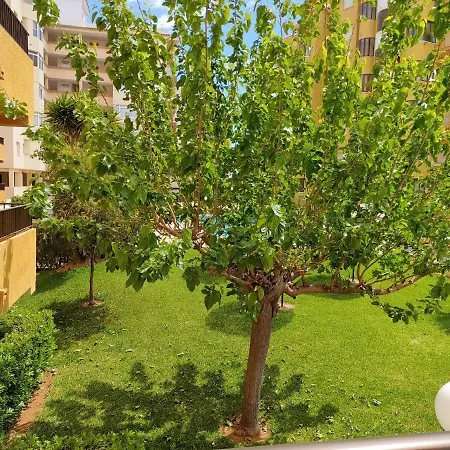 Tamaris Playa Solo Familias Serviplaya Apartment
